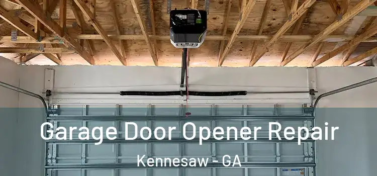  Garage Door Opener Repair Kennesaw - GA