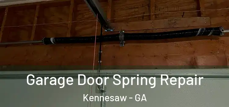  Garage Door Spring Repair Kennesaw - GA